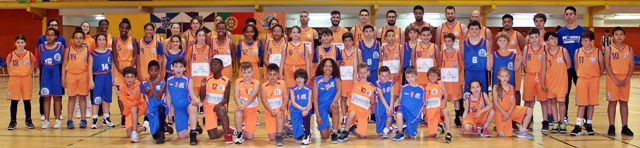 grupo minis