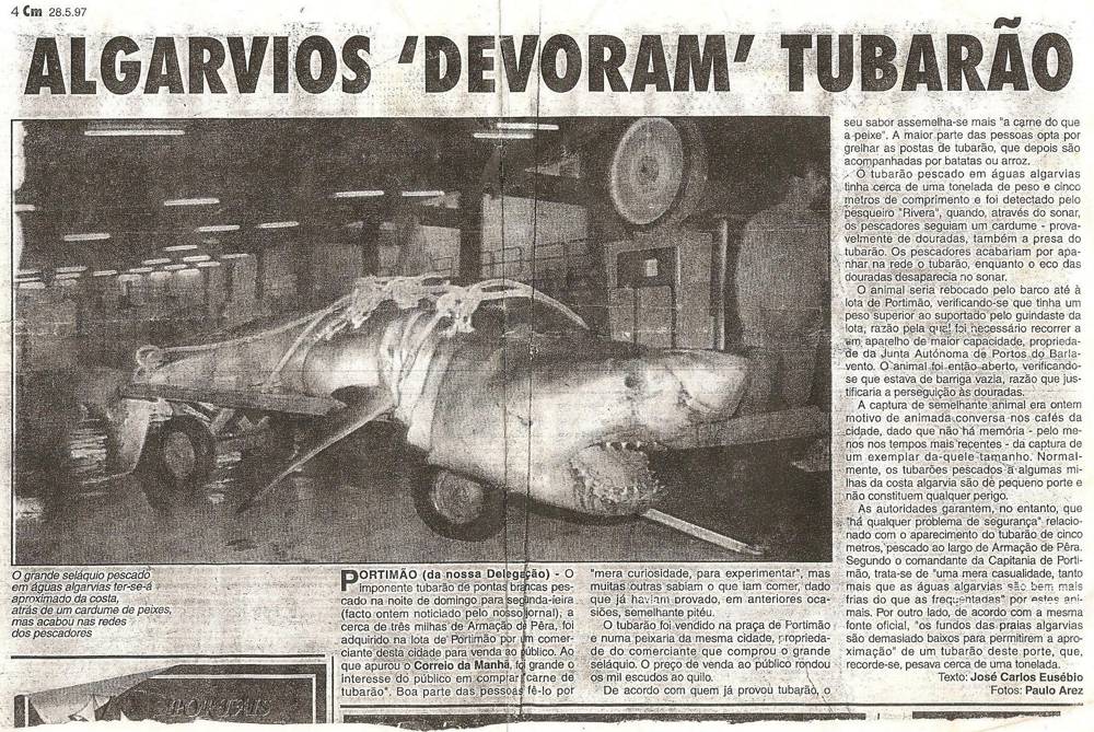 pescado no algarve jornal